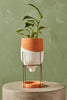 Clay Funnel Planter