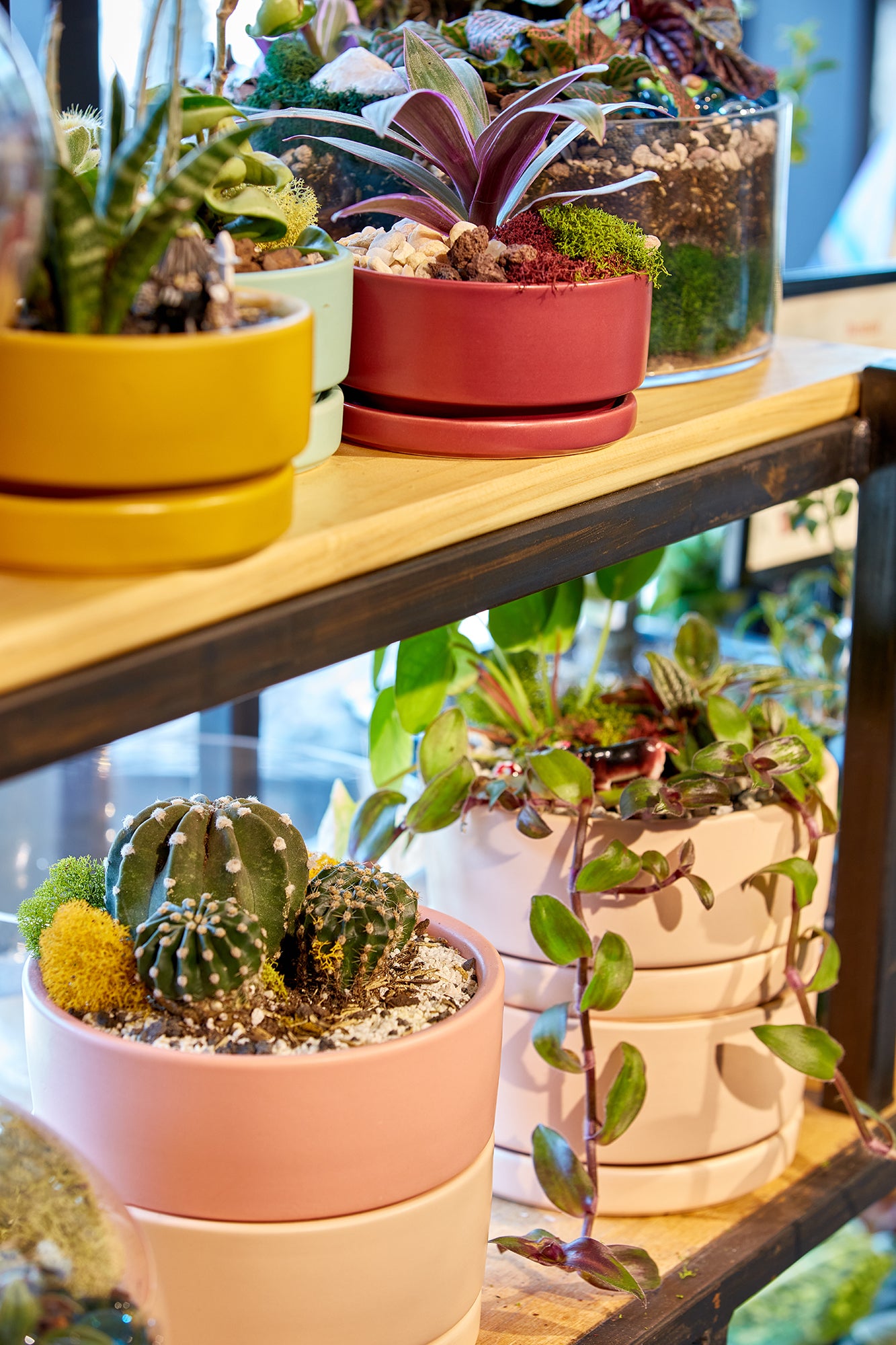 Low Bowl Arrangement