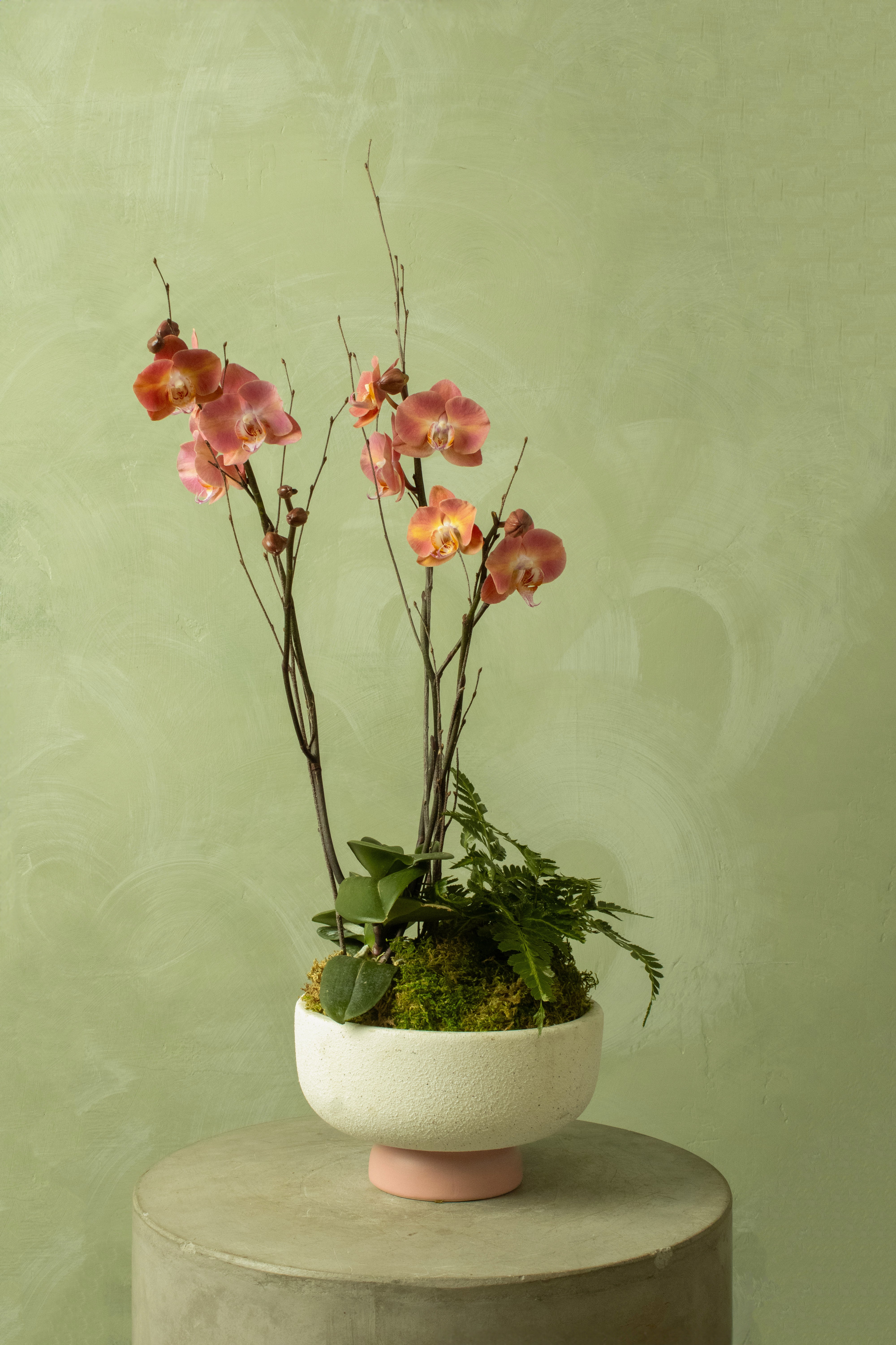 Calliope Arrangement