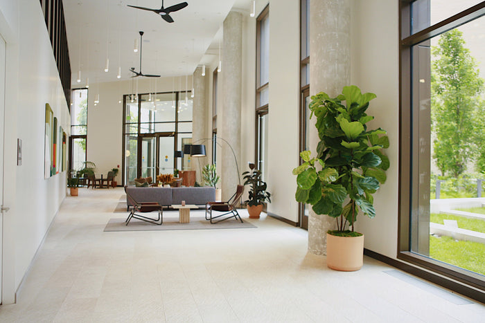 Design Services
