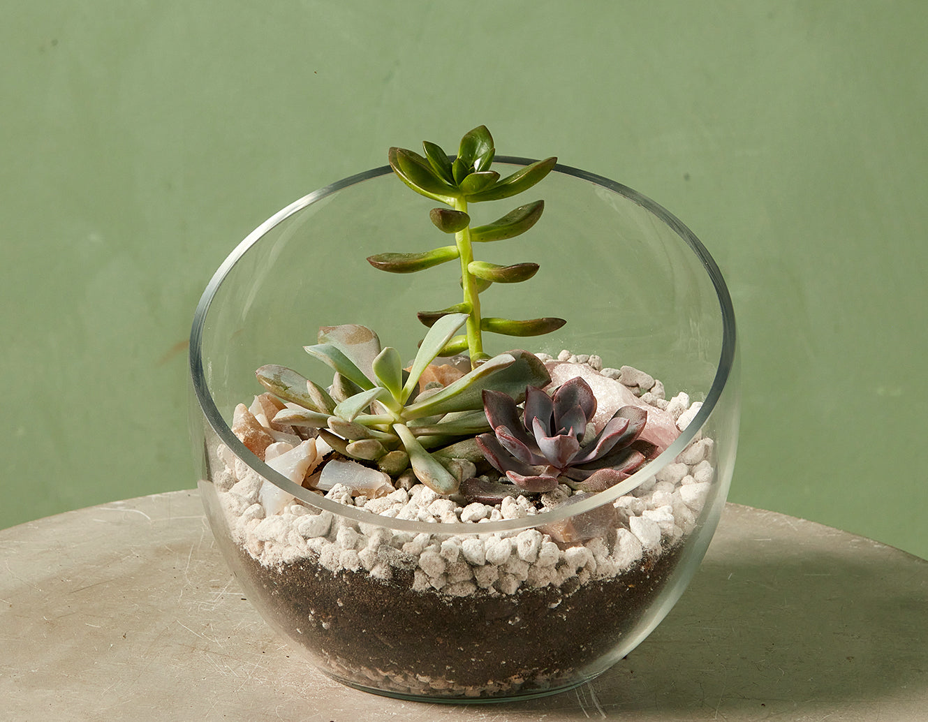 Vineyard Terrariums at Foundry Gallery 4/12 @ 1PM