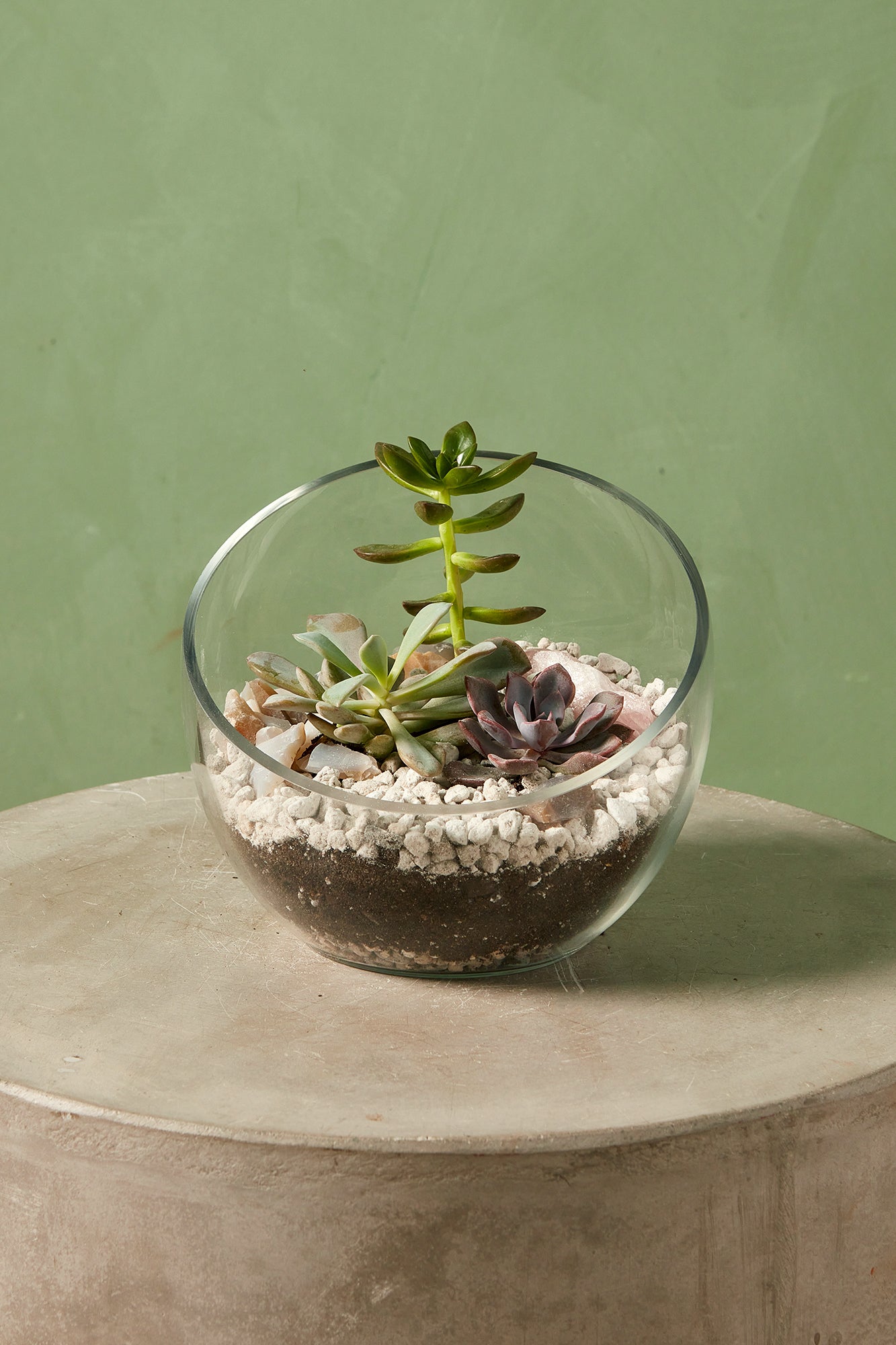 Desert Terrarium Workshop @ Shaw - 7pm on August 25th