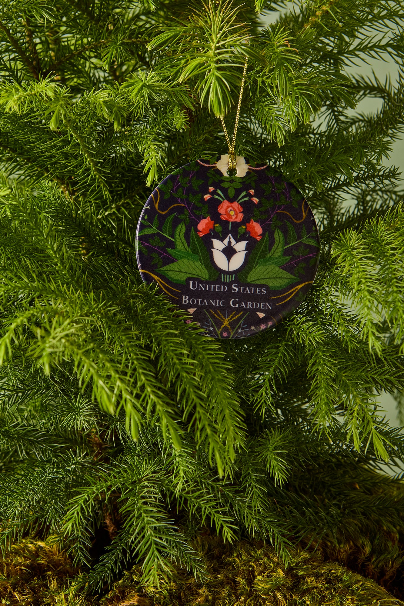 U.S. Botanic Garden Ornament