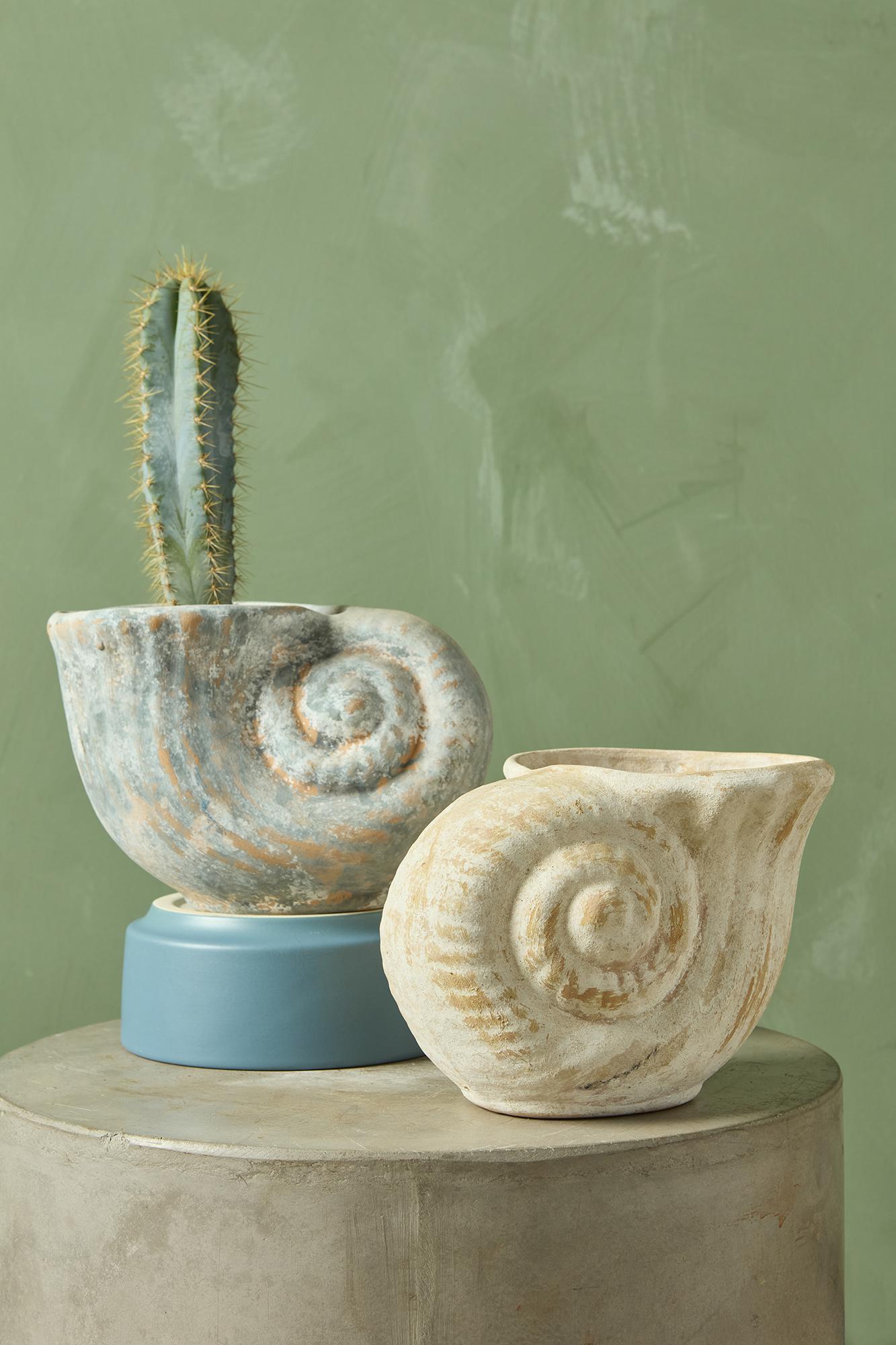Shell Clay Planter