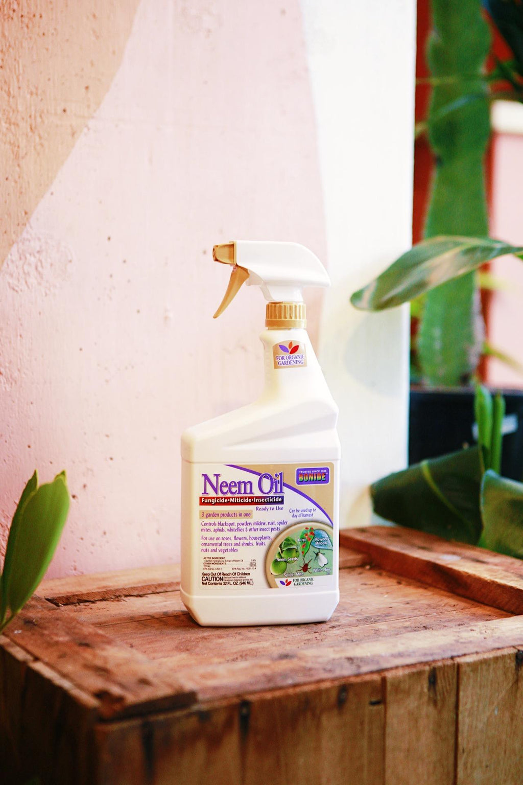 neem oil for plants spider mites Neem Oil
