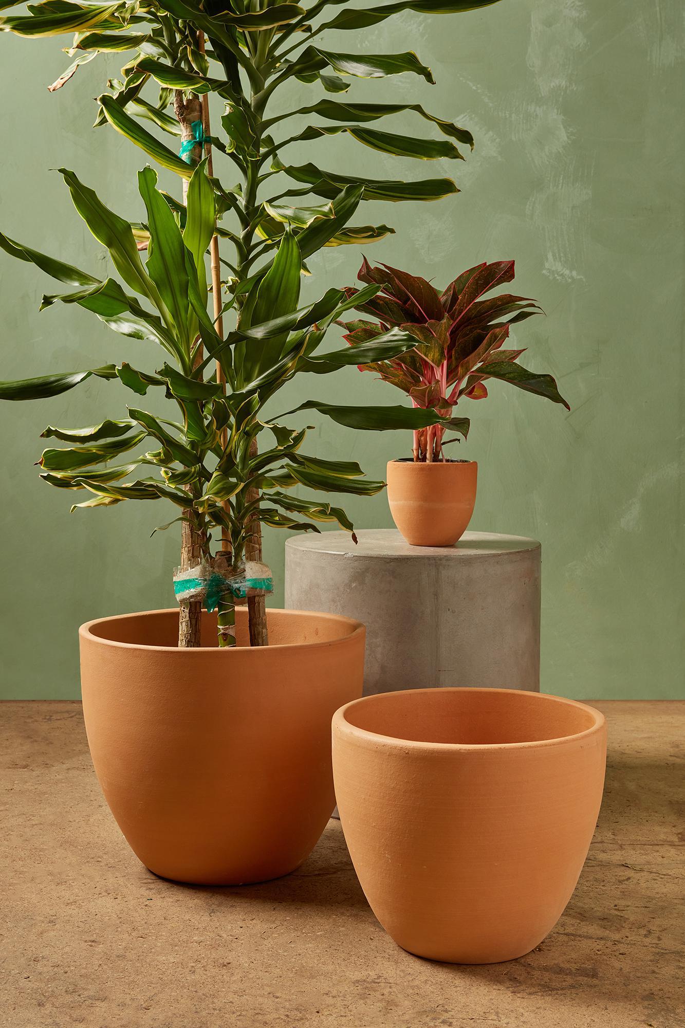 Liberty Bell Planter