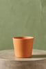 Tulum Clay