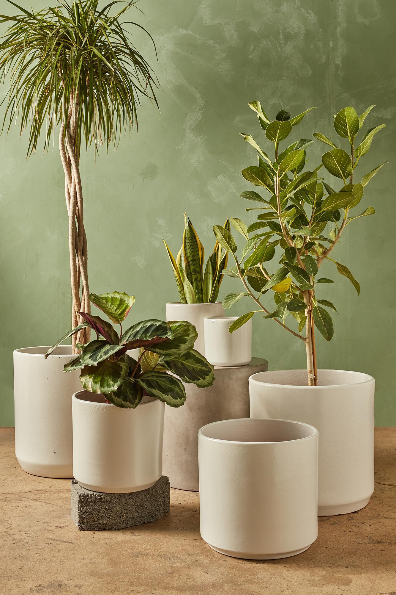 Pots & Planters | REWILD