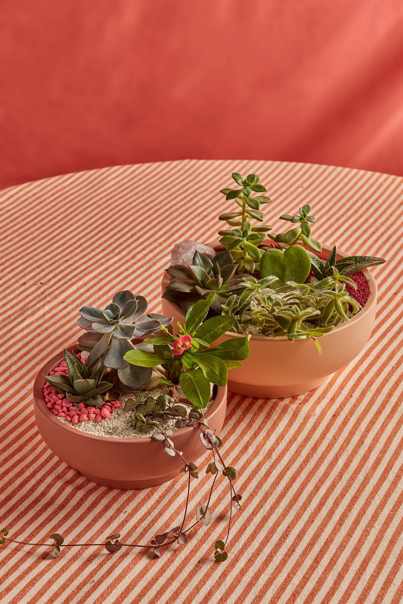 Valentine's Day Garden Bowls