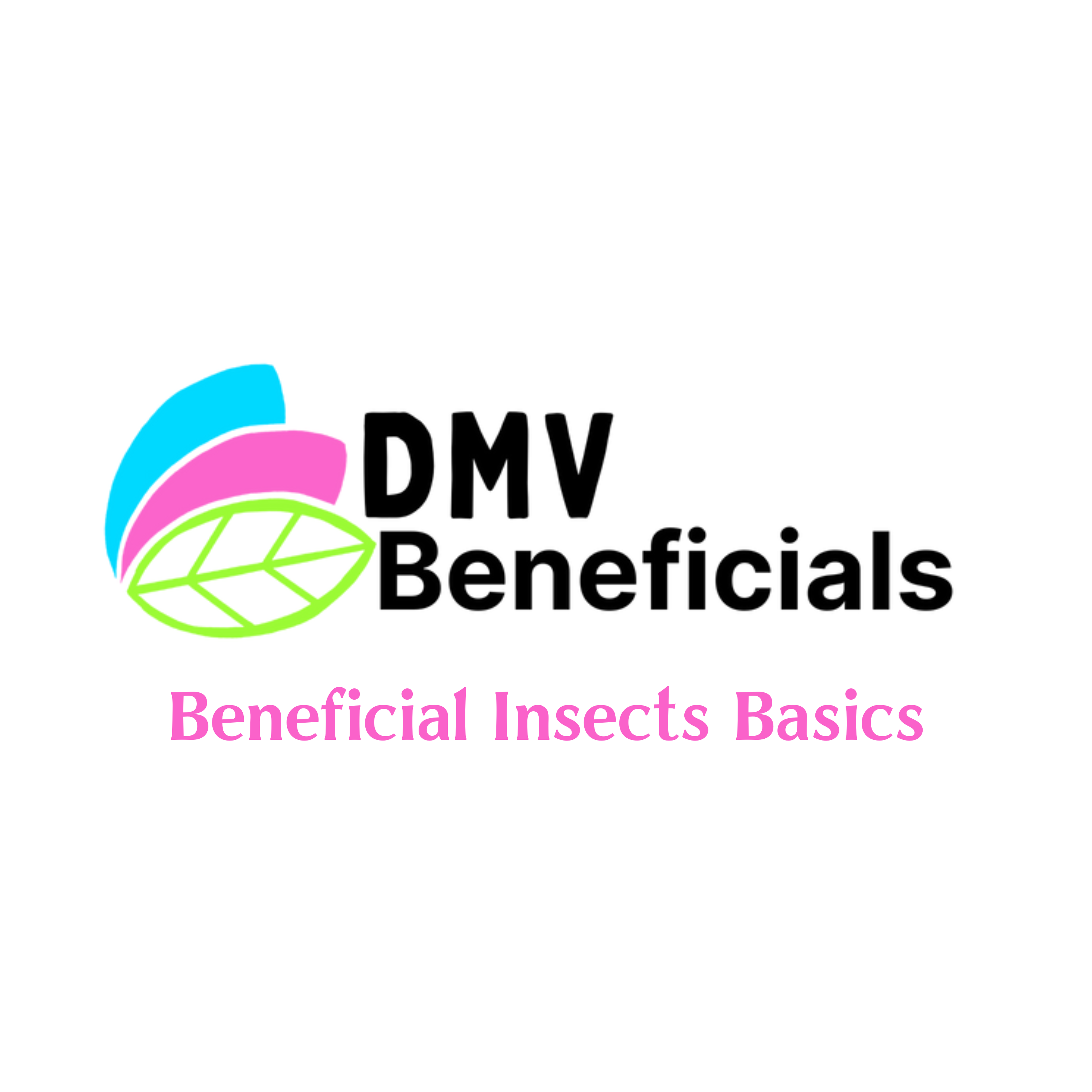 Beneficial Insects Basics w/ DMV Beneficials @ REWILD Shaw 5/31
