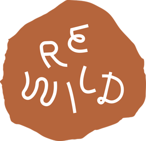 REWILD Specialty House Plant Shops!