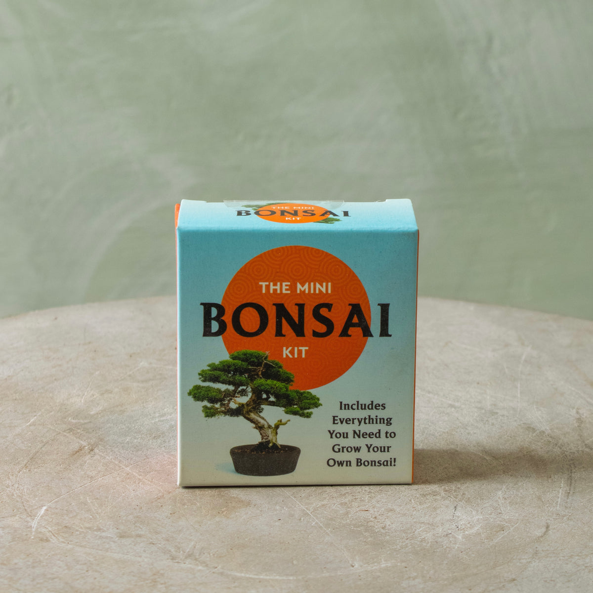miniature bonsai tree kit Mini Bonsai Kit
