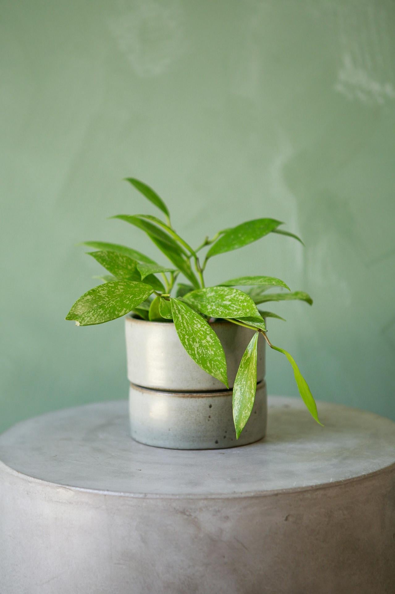 Material Things Reservoir Planter