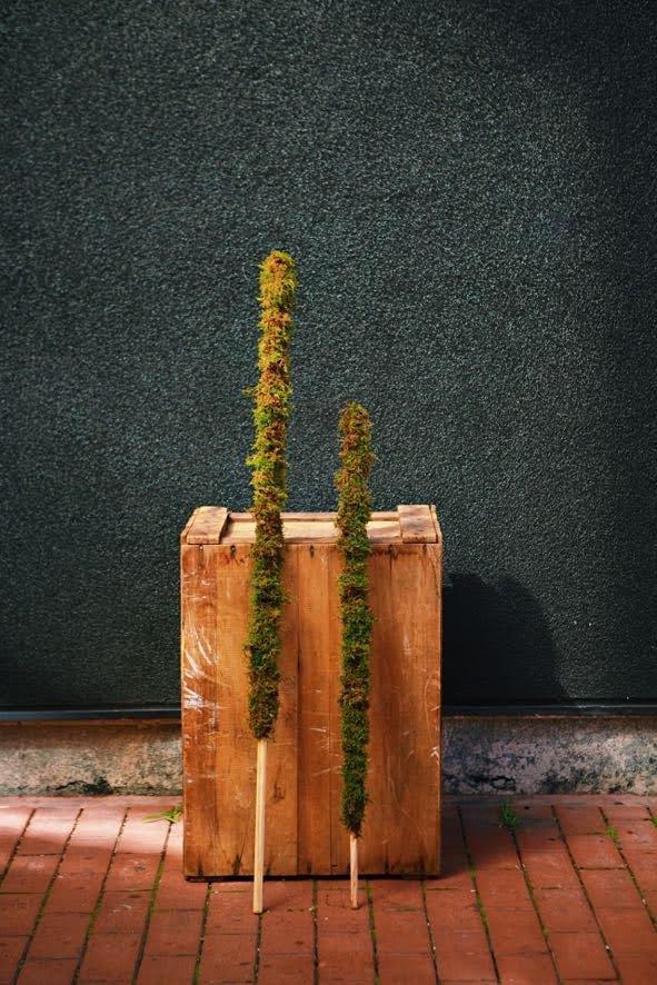 Custom Moss Pole