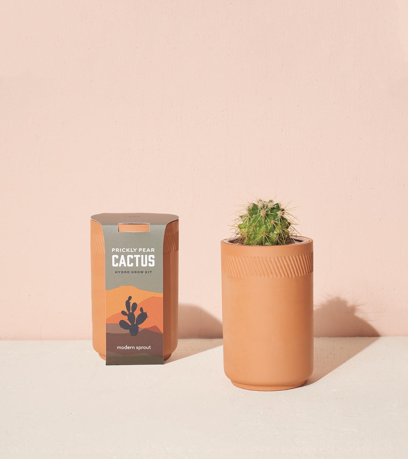 Terracotta Kit