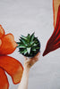 Agave