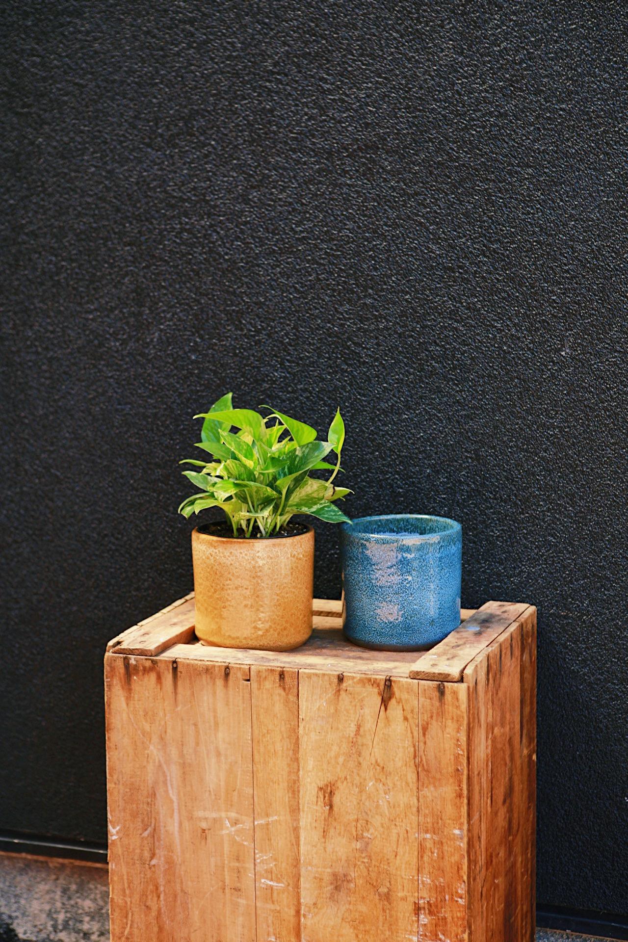 Clay Cylinder Planter
