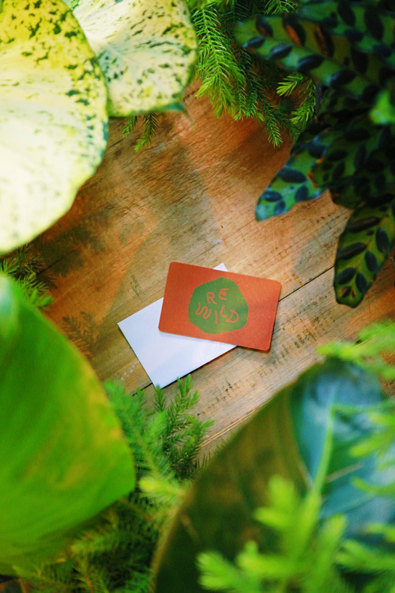 Rewild gift card, any amount