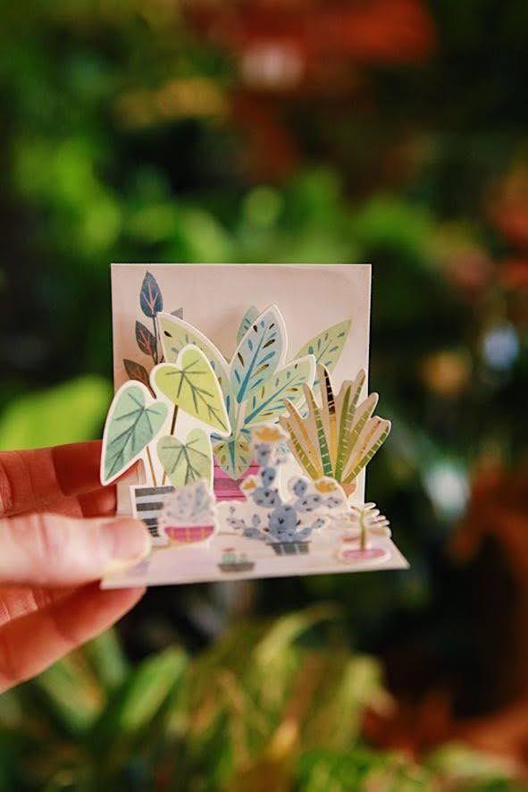 Potted Plants Mini Pop Up Card
