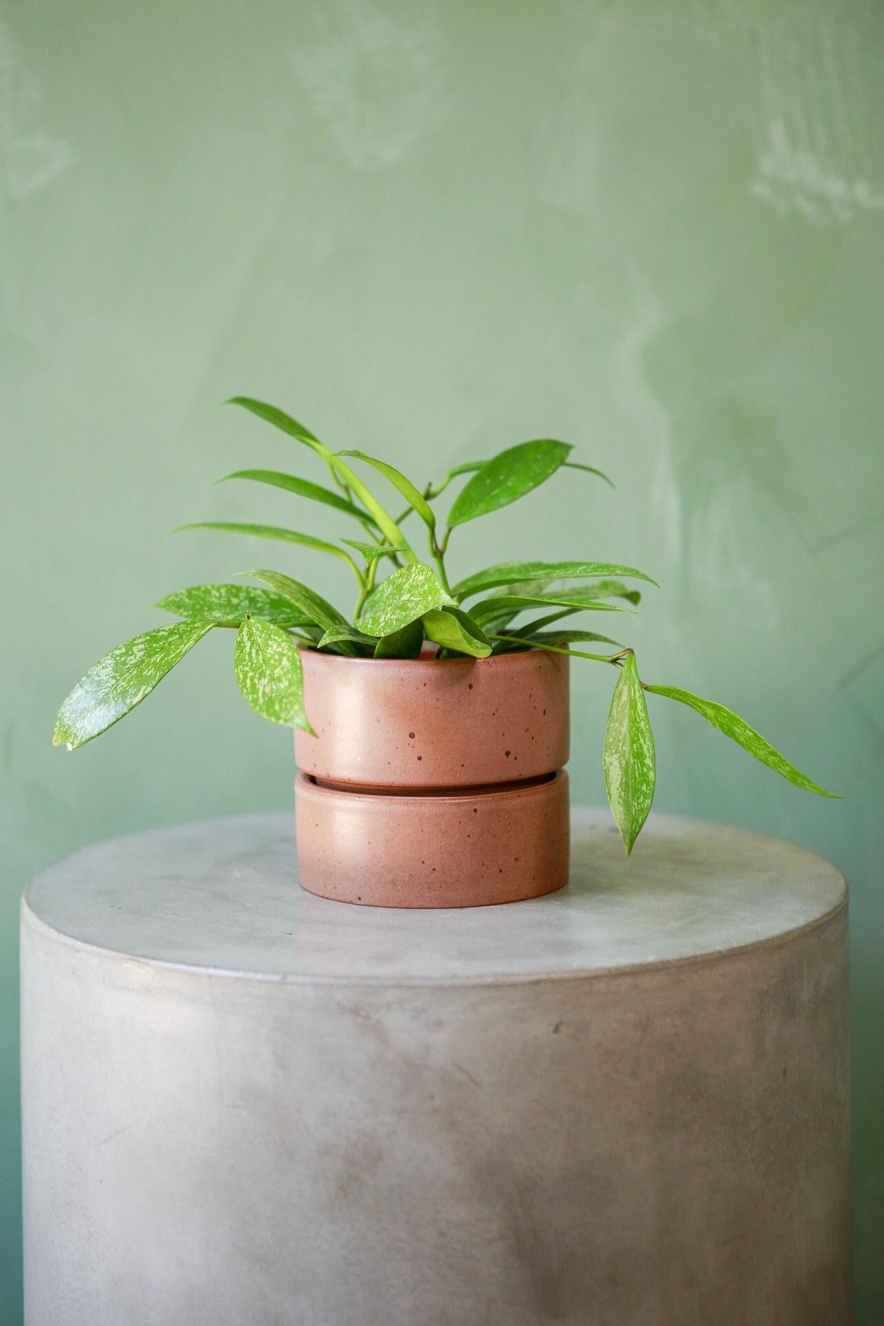Material Things Reservoir Planter