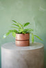 Material Things Reservoir Planter