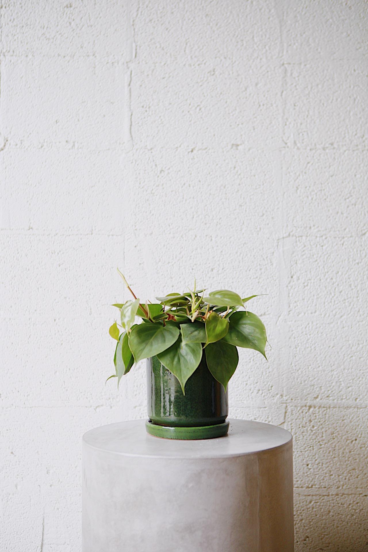 Clay Cylinder Planter