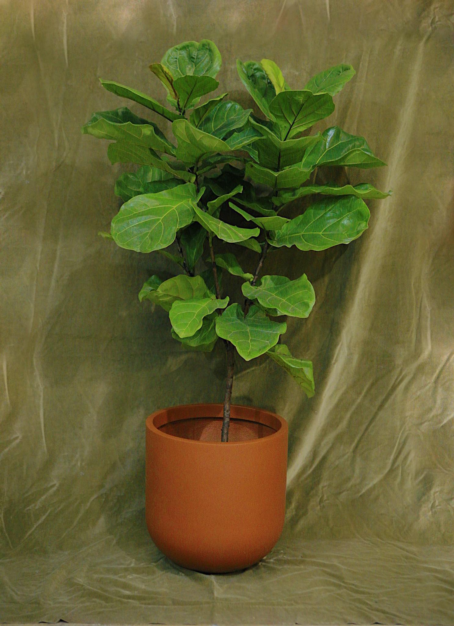 Wythe Planter