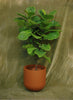 Wythe Planter