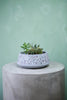 Terrazzo Bowl