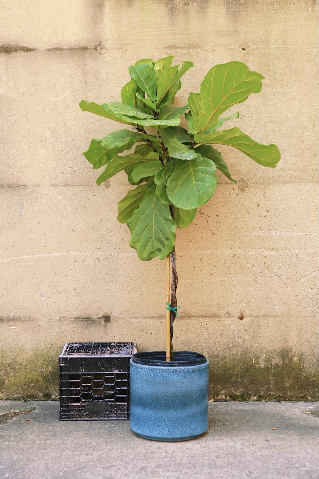 Clay Cylinder Planter