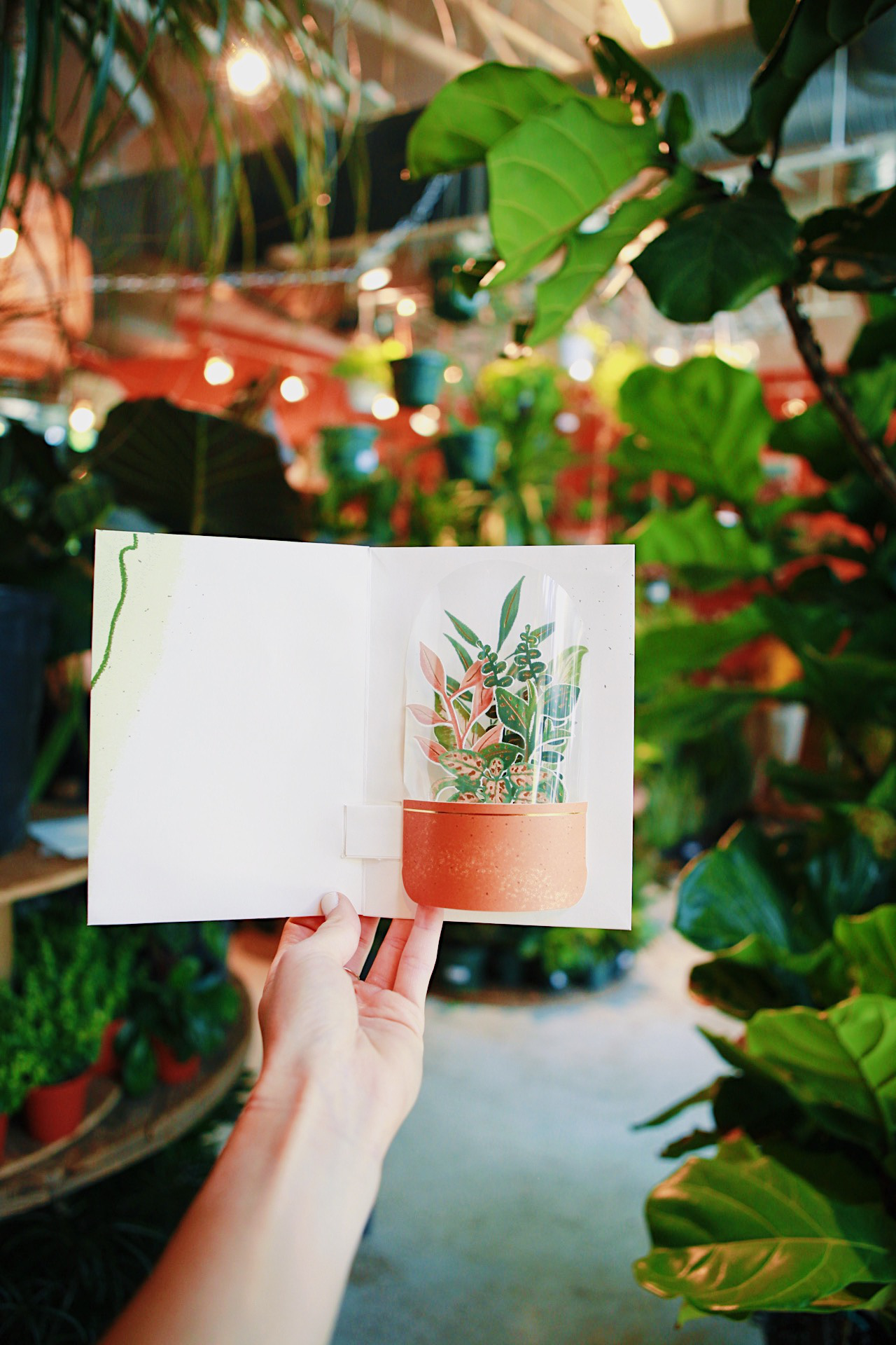 Terrarium Pop Up Card