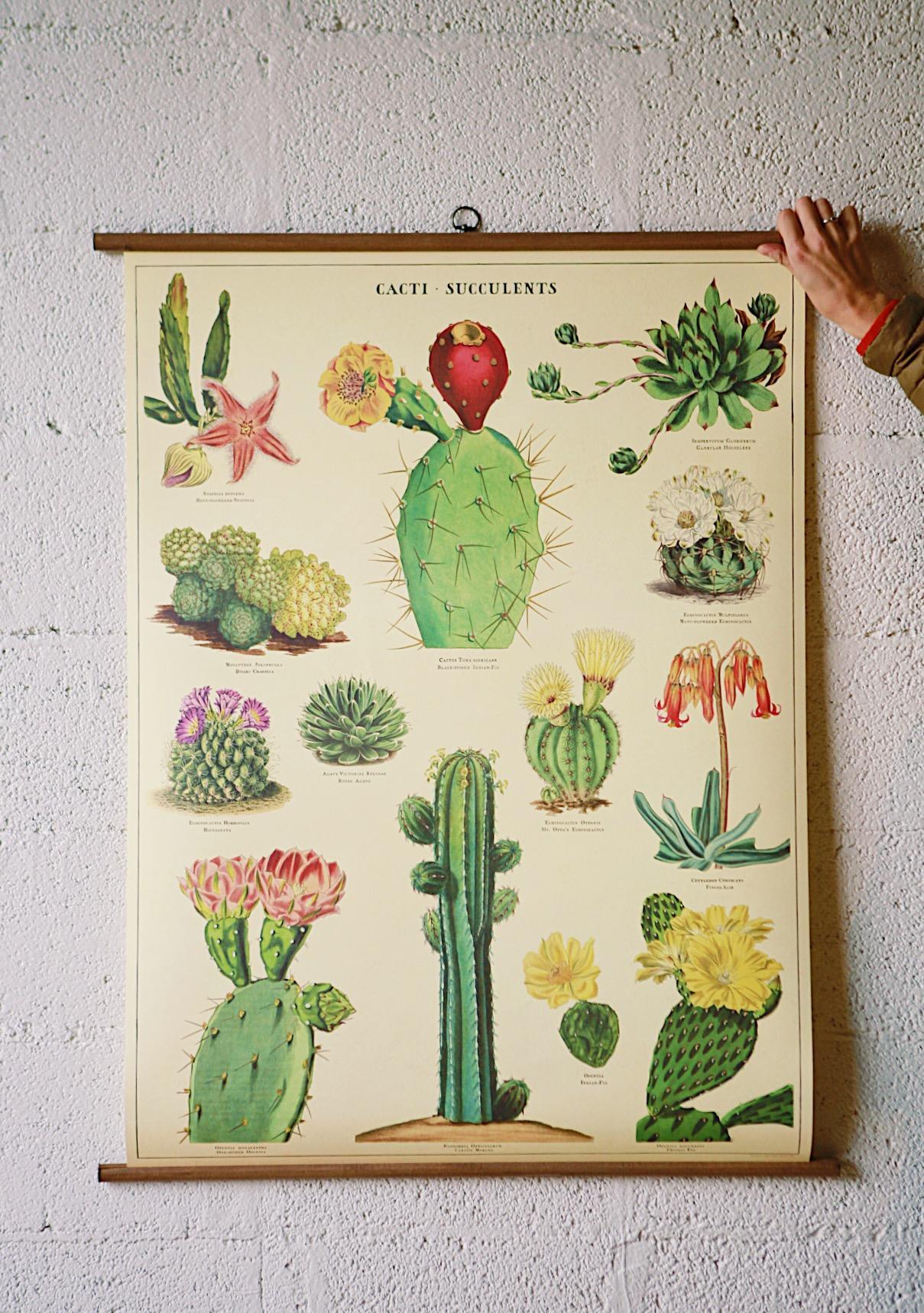 Vintage School Chart