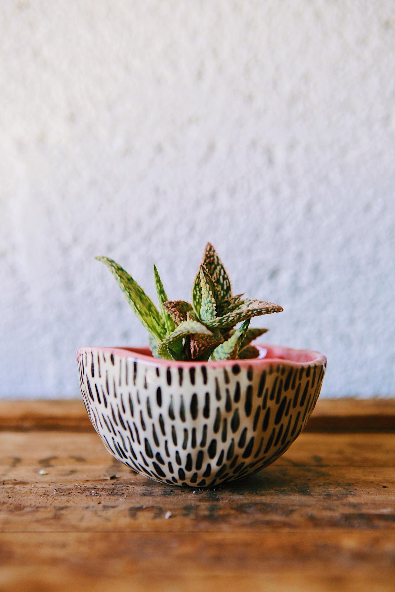 Sio Ceramics