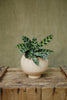 Sutton Planter